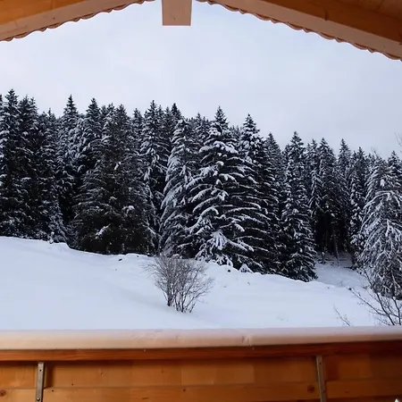 Mit Kino Und Jacuzzi In B. Gstaad シャレー Gsteig