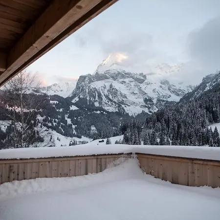 木屋 Mit Kino Und Jacuzzi In B. Gstaad *
