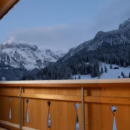 木屋 Mit Kino Und Jacuzzi In B. Gstaad
